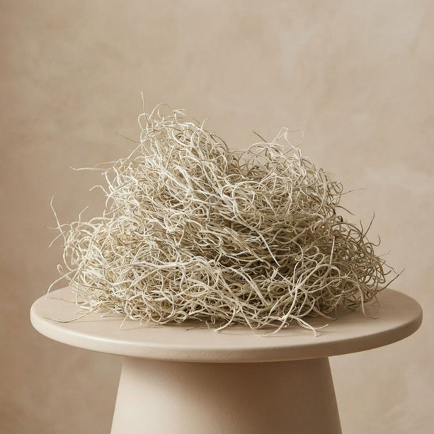 Gedroogd Tillandsia Mos – 1L – Alleen voor decoratief gebruik – Zak van 25 cm