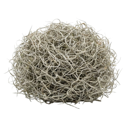 Gedroogd Tillandsia Mos – 1L – Alleen voor decoratief gebruik – Zak van 25 cm