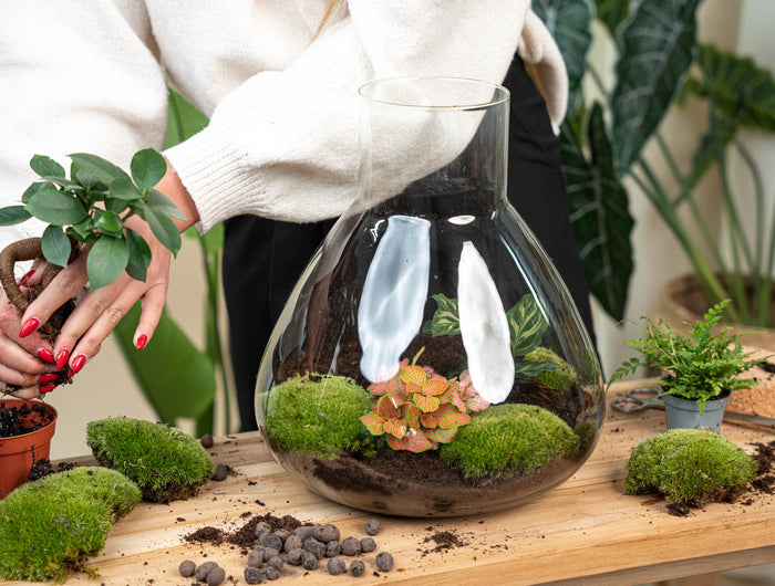 Geef je interieur nieuwe energie met onze groenmakers