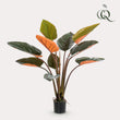 Kunstplant - Philodendron - 120 cm