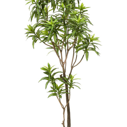 Kunstplant - Dracaena - Drakenboom - 190 cm