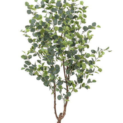 Kunstplant - Eucalyptus - Blauwe Gomboom  - 180 cm