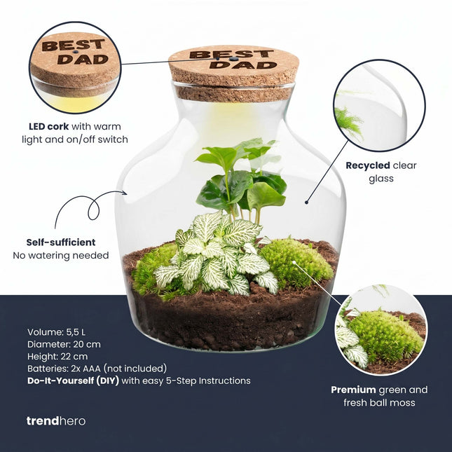 Vaderdag terrarium Little Joe + gepersonaliseerde gegraveerde kurk met verlichting - Flessentuin DIY kit - Ø 20 cm ↑ 22 cm