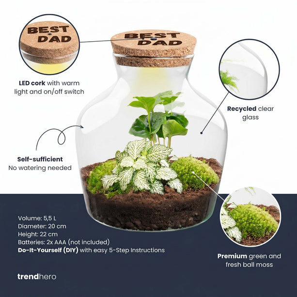 Vaderdag terrarium Little Joe + gepersonaliseerde gegraveerde kurk met verlichting - Flessentuin DIY kit - Ø 20 cm ↑ 22 cm
