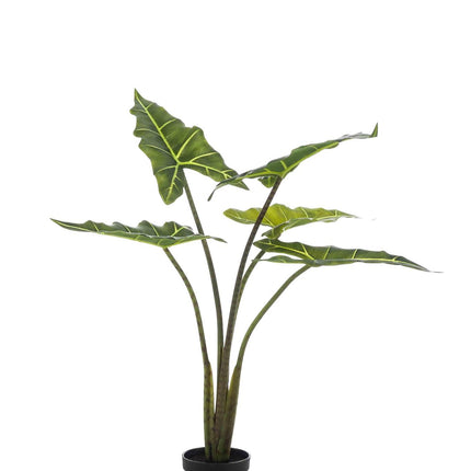 Kunstplant - Alocasia Frydek - Olifantsoor - ↑ 80 cm