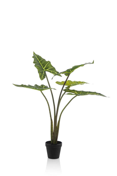 Kunstplant - Alocasia Frydek - Olifantsoor - ↑ 80 cm