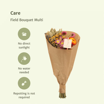 Droogbloemen Veldboeket Multi - Ø 15 cm - ↑ 35 cm