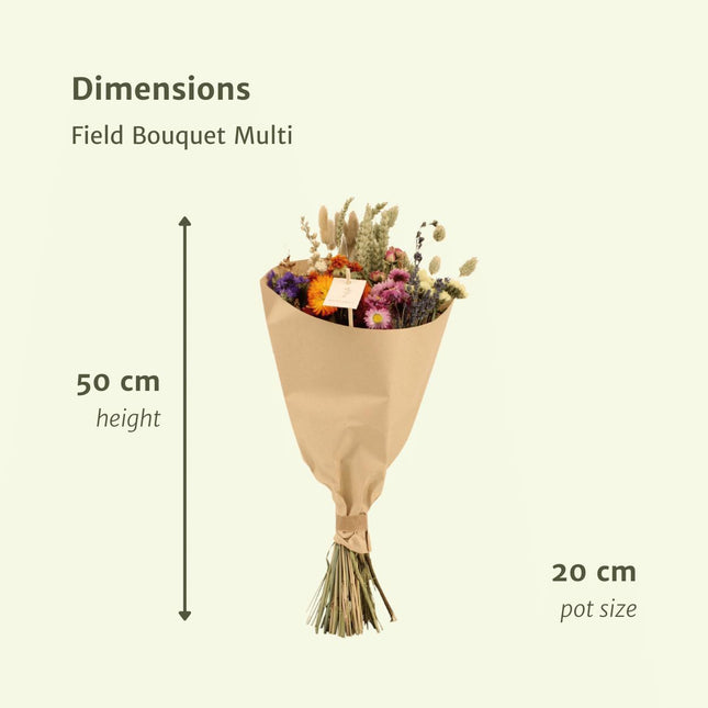 Droogbloemen Veldboeket Multi - Ø 20 cm - ↑ 50 cm