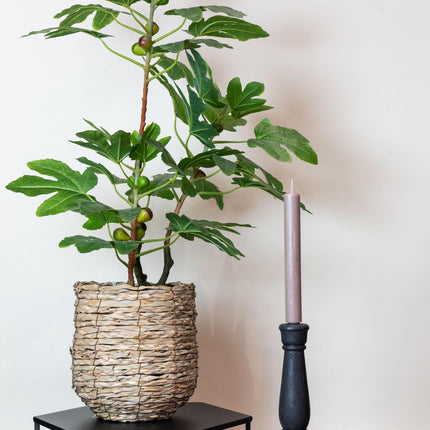 Kunstplant - Ficus Carica - Vijgenboom - 95 cm