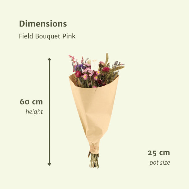 Droogbloemen Veldboeket Roze - Ø 25 cm - ↑ 60 cm