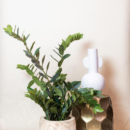 Kunstplant - Zamioculcas - Kamerpalm - 110 cm