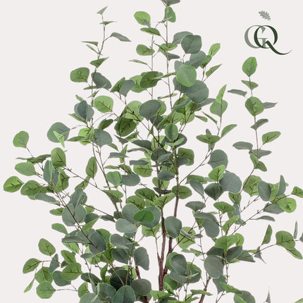 Kunstplant - Eucalyptus - Blauwe Gomboom - 140cm - 120 cm