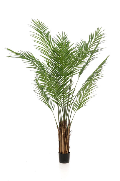 Kunstplant - Areca Lutescens - Goudpalm - 180 cm