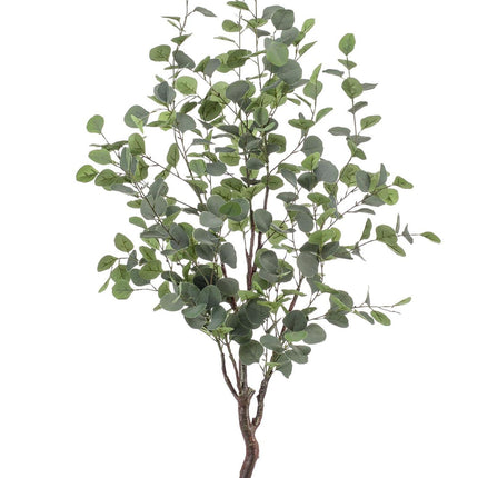 Kunstplant - Eucalyptus - Blauwe Gomboom - 140cm - 120 cm