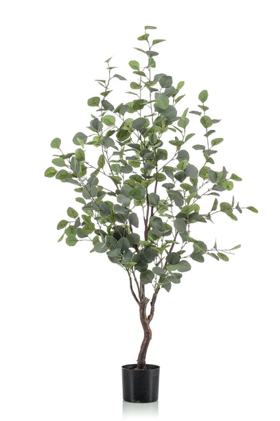 Kunstplant - Eucalyptus - Blauwe Gomboom - 140cm - 120 cm