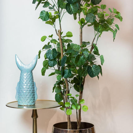 Kunstplant - Polyscias - Aralia - 160 cm