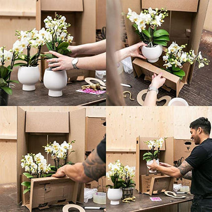 Kolibri Home | Plantenstandaard - Houten planten verhoging - Ø 12 cm