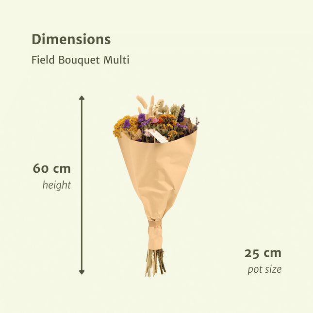 Droogbloemen Veldboeket Multi - Ø 25 cm - ↑ 60 cm